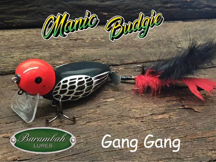 Barambah Manic Budgie Bird Surface Walker Cod Lure