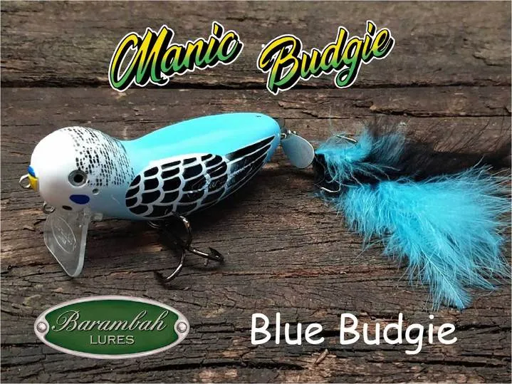 Barambah Manic Budgie Bird Surface Walker Cod Lure