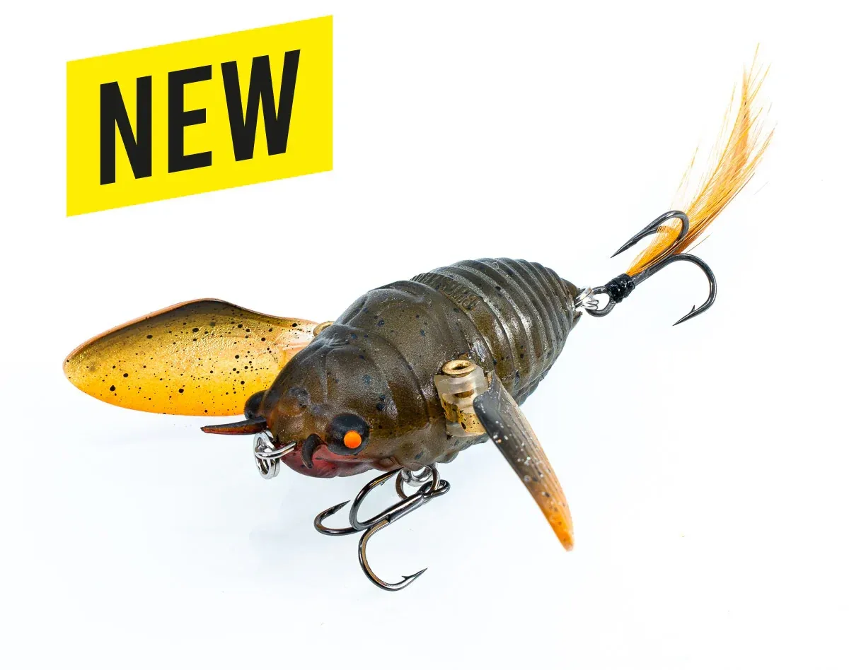 Chasebaits Ripple Cicada 43 Surface Walker Topwater Lure