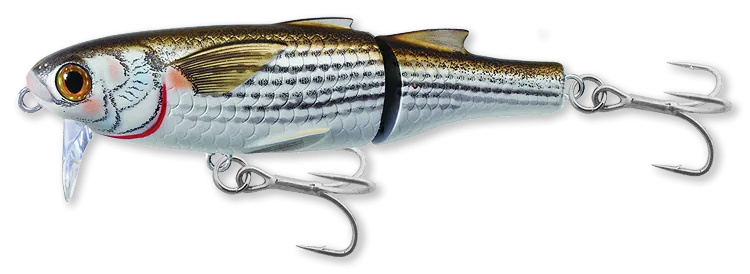 Live Target Mullet Wakebait Surface Walker Lure