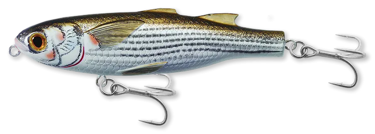 Live Target Mullet Walking Surface Walker Lure