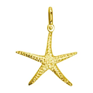 Medium Thin Starfish Charm in 14K Yellow Gold