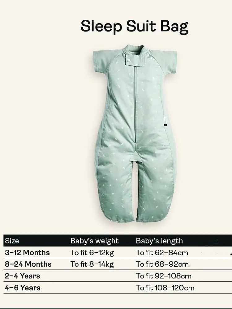 Organic All Year Short Sleeved 2 in 1 Sleeping Suit Bag