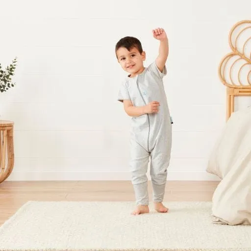 Organic Summer Long Sleeved Sleep Onesie - Grey Marle