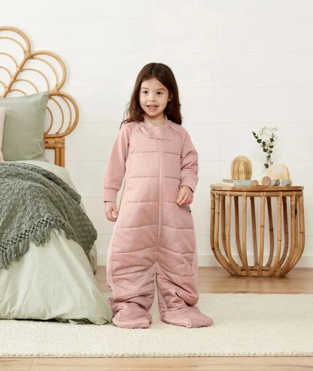 Organic Winter Long Sleeved 2 in 1 Sleeping Suit Bag - Berries