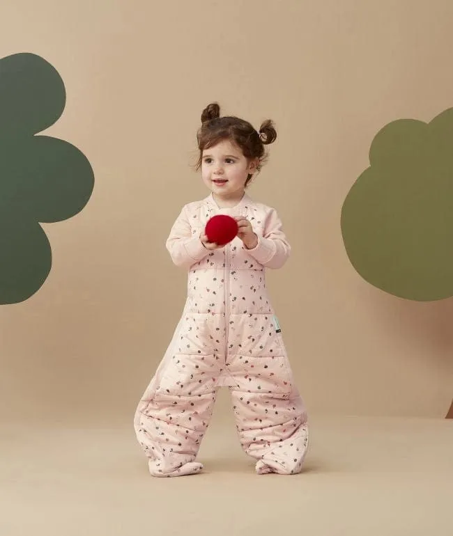Organic Winter Long Sleeved 2 in 1 Sleeping Suit Bag - Cute Fruit