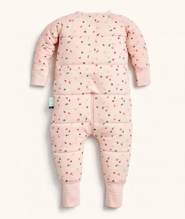 Organic Winter Long Sleeved Sleep Onesie - Cute Fruit