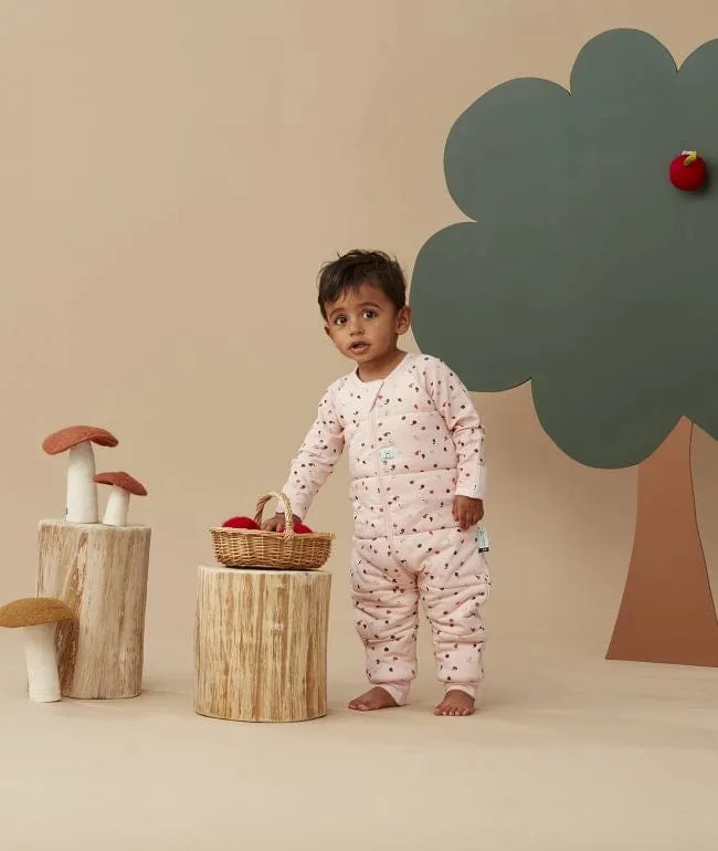 Organic Winter Long Sleeved Sleep Onesie - Cute Fruit