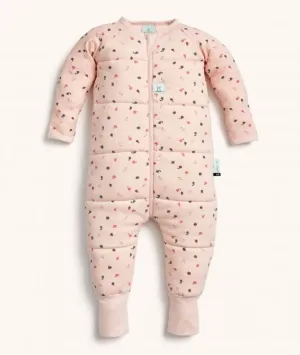 Organic Winter Long Sleeved Sleep Onesie - Cute Fruit