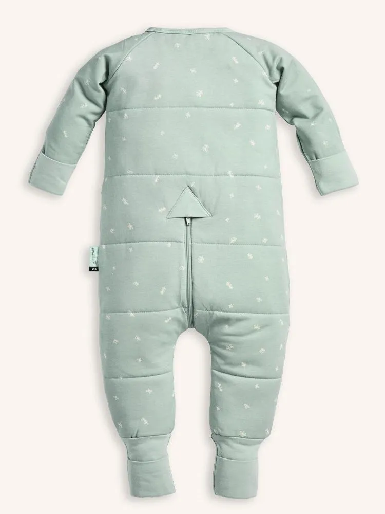 Organic Winter Long Sleeved Sleep Onesie