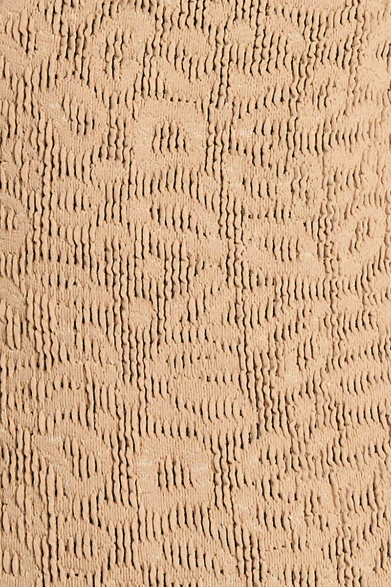 Vista Brief