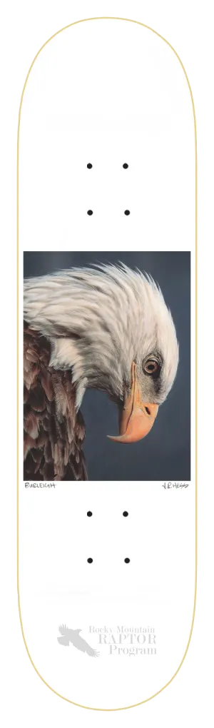 ZERO BURLEIGH BALD EAGLE 8.5" SKATEBOARD DECK