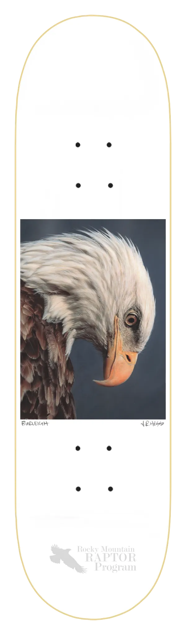 ZERO BURLEIGH BALD EAGLE 8.5" SKATEBOARD DECK